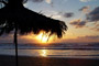 客户介绍